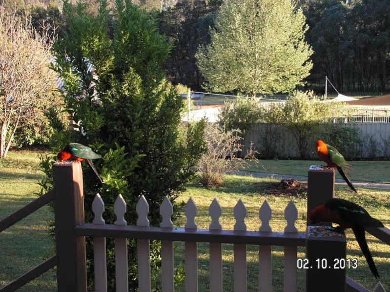 Warrumbungles Mountain Motel Coonabarabran Esterno foto