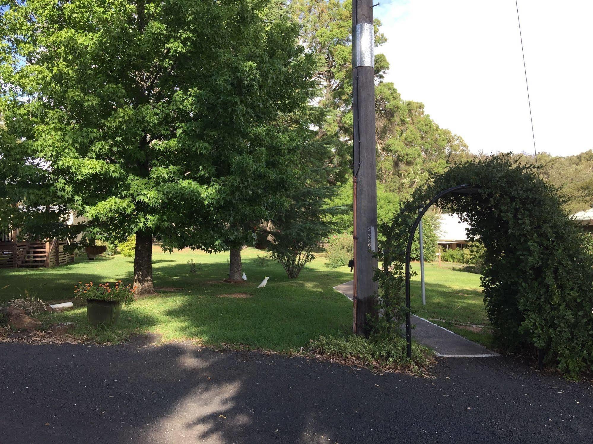 Warrumbungles Mountain Motel Coonabarabran Esterno foto